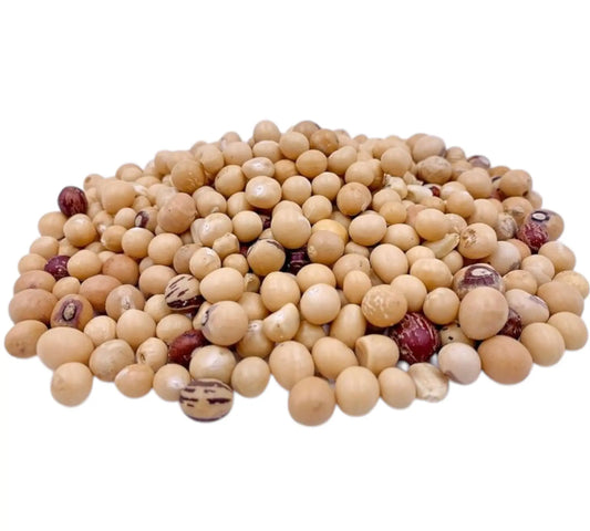 Pois de Bambara – Nutritif, Savoureux et Écologique - GRAINES DE CHEZ NOUS