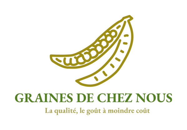 GRAINES DE CHEZ NOUS